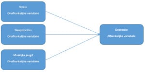 Wat is een conceptueel model?