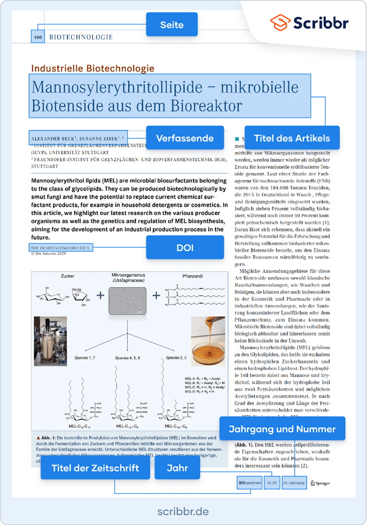 Artikel aus einer Zeitschrift zitieren - Beispiel und Anleitung
