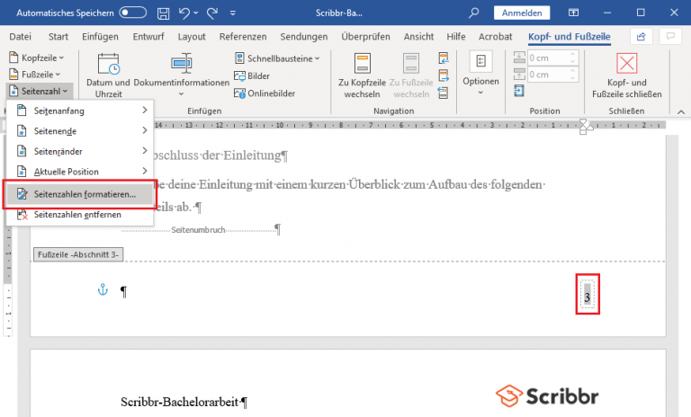 Seitenzahlen In Word Ab Seite 3 Erstellen - In 2 Minuten [Video]