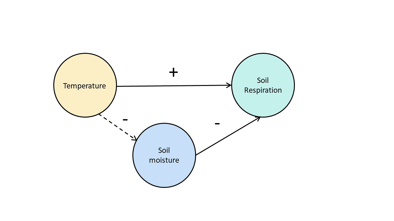 Diagramma della relazione tra le variabili in un esperimento di respirazione del suolo