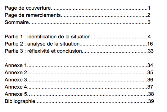 Exemple De Rapport De Stage Aide Soignante Pdf  gongsyimox