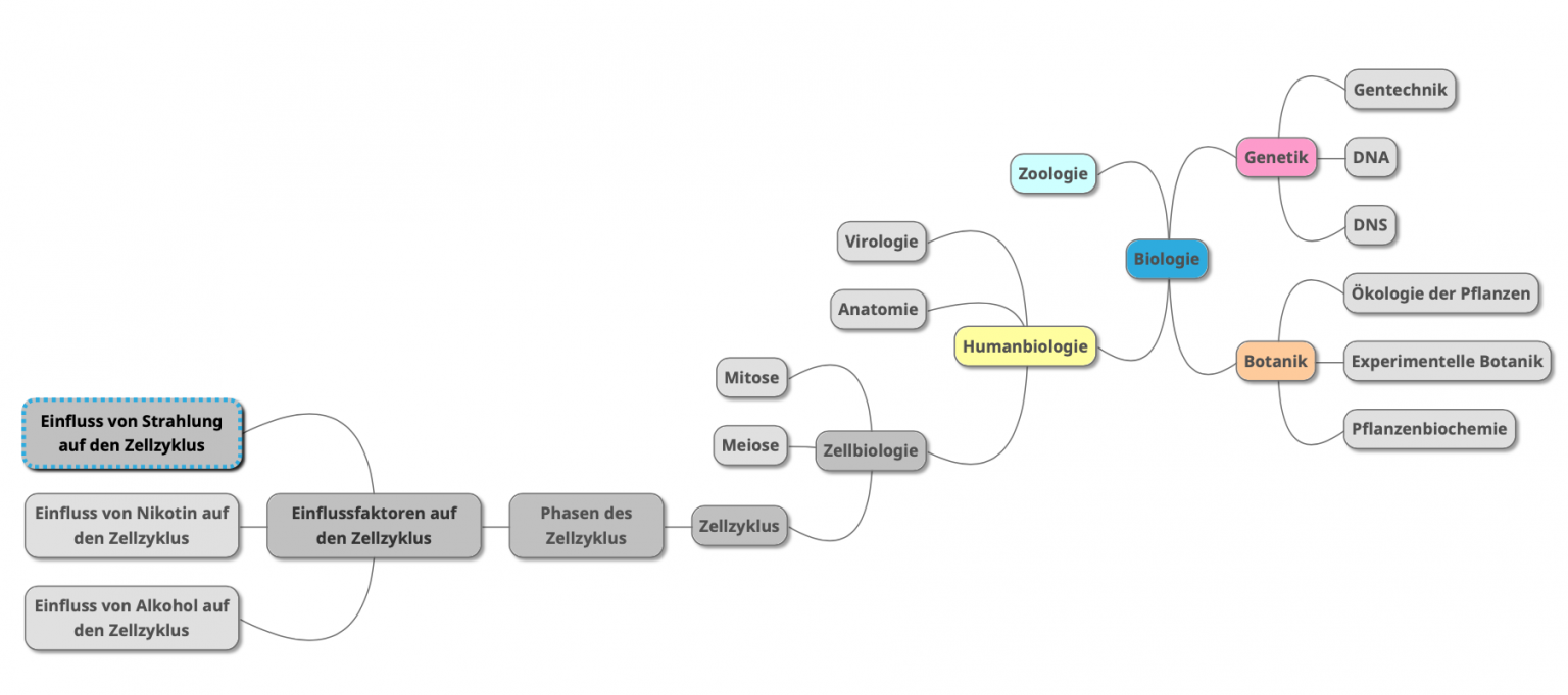 Erfolgreich studieren Lernmethoden und Lerntipps
