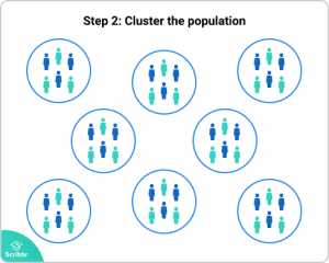 Cluster Sampling | A Simple Step-by-Step Guide with Examples