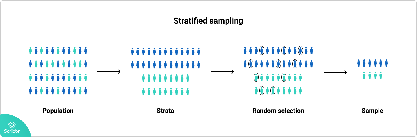 stratified sampling case study