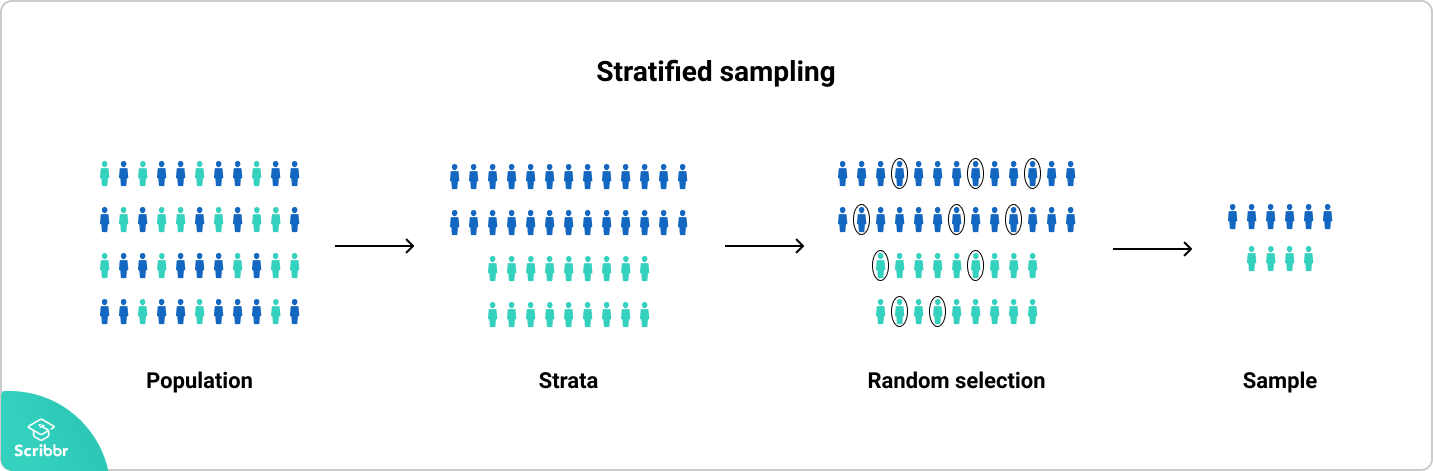 stratified-sampling-a-step-by-step-guide-with-examples