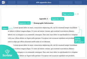 How To Create An APA Style Appendix | Format & Examples