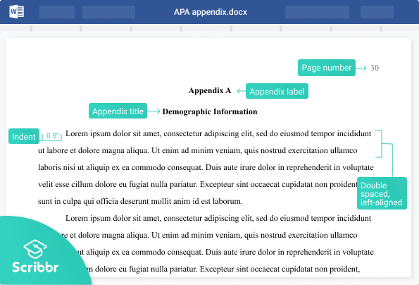 appendix apa format example