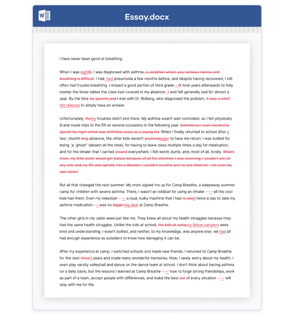 professional essay editor free